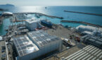 Amico & Co Sustainability Report